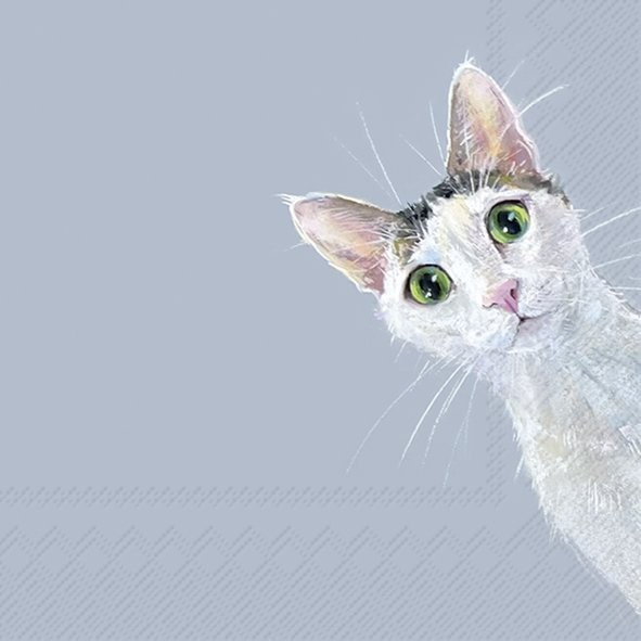 Ihr CAT STELLA light blue L1078749 Lunch-Servietten 33 x 33 cm