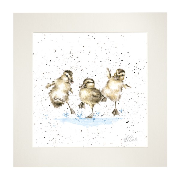 Wrendale Mounted Prints MP194 "Puddle Ducks" - Entenküken