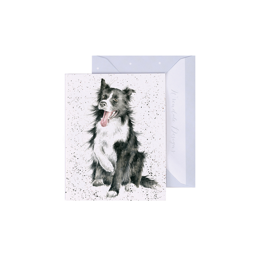 Wrendale Grußkarte „Shadow“ – Border Collie Motiv, Inkl. Umschlag, Süße Tierkarte