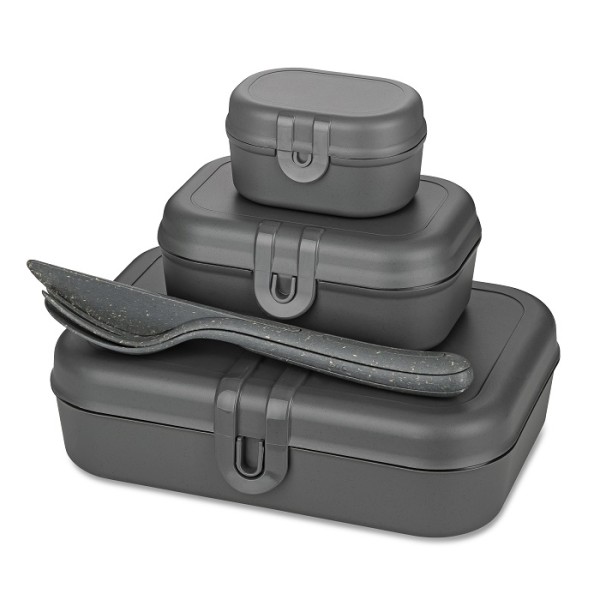 Koziol PASCAL READY 7168701 Lunchbox-Set + Besteck-Set - Nature Ash Grey