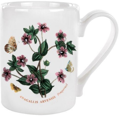 Portmeirion Botanic Garden Pimpernel BGHO48600S Kaffeebecher 0,28 l