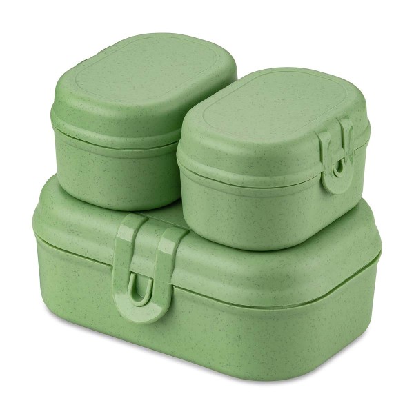 Koziol PASCAL READY MINI 7151703 Lunchbox-Set Mini - Natrue Leaf Green
