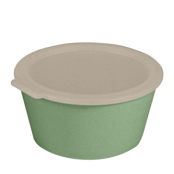 Koziol Move 100060703 Schale 2,2l mit Deckel - Nature Leaf Green
