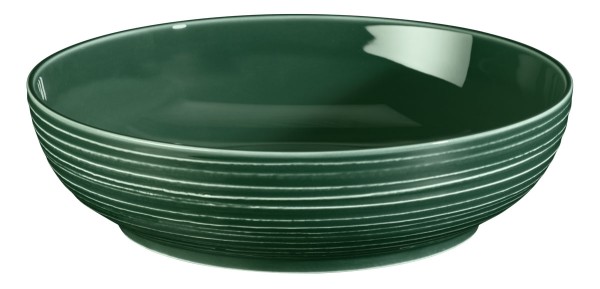 Seltmann Terra Moosgrün Foodbowl 25 cm