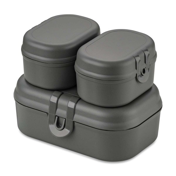 Koziol PASCAL READY MINI 7151701 Lunchbox-Set Mini - Nature Ash Grey