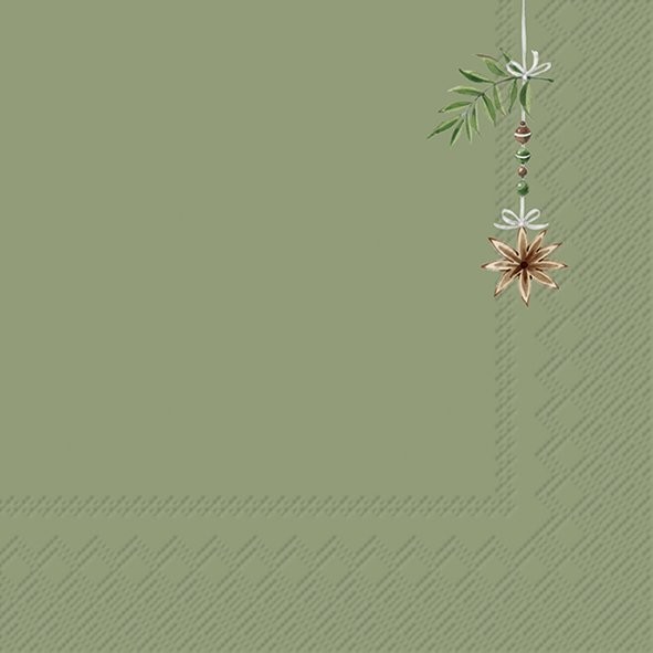 Ihr Tiny Handmade Tag Green L1123320 Lunch-Servietten 33 x 33 cm