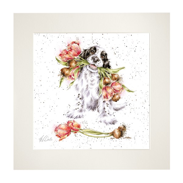 Wrendale Mounted Prints MP209 "Blooming with Love" - Hund
