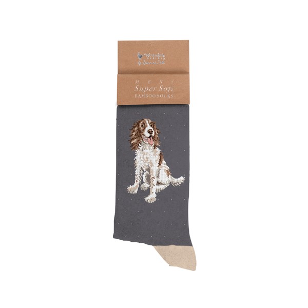 Wrendale Männersocken SOCKM006 &quot;Willow&quot; - Spaniel