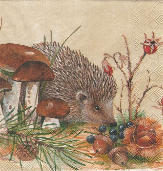 Ihr Nosy little Hedgehog L 605400 20 Lunch-Servietten 33 x 33 cm