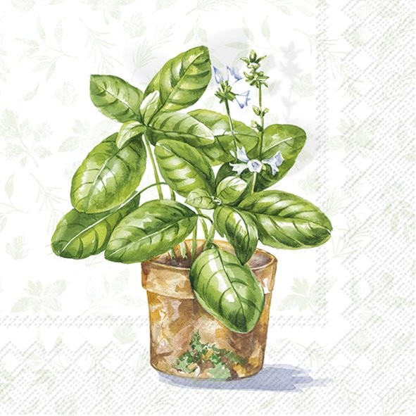 IHR Aromatic Herbs Light Green C1038229 Cocktail-Servietten 25 x 25 cm